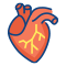 Cardiac-Sciences